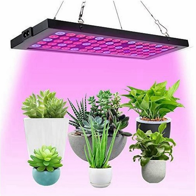 植物育成ライト Led 植物ライト 室内栽培ランプ 多肉植物育成 水耕栽培ランプ 家庭菜園 室内園芸 水草栽培 野菜 通販 Lineポイント最大0 5 Get Lineショッピング