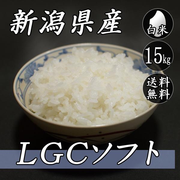 お米 15kg 新潟産 LGCソフト 5kg×3袋 送料無料 令和5年産 米 白米