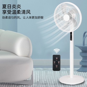 【良品舎】全館免運 開發票 保售後 新款美規110V電風扇家用12檔定時遙控落地扇辦公室節能風扇