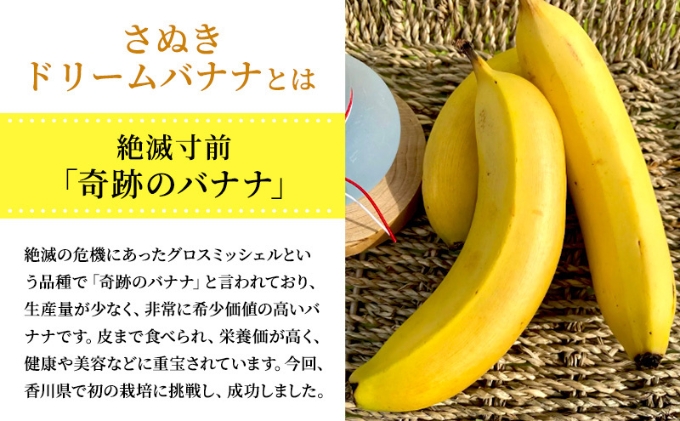 国産さぬきドリームバナナ〈香川産〉ギフトBOX5本セット