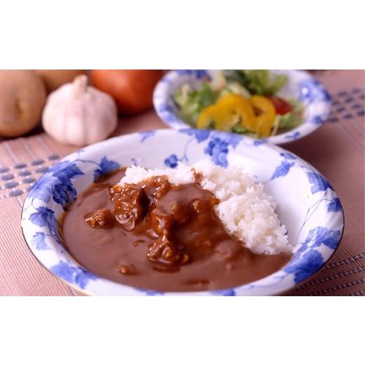 ふるさと納税 岩手県 雫石町 小岩井農場 厳選素材カレー バラエティセット ／ カレー カレーライス レトルトカレー