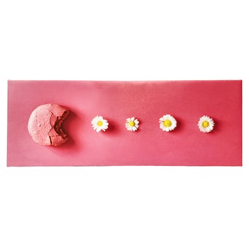 24mama 掛畫 單聯式 杏仁餅 馬卡龍 甜點 花卉 法國 無框畫 吃豆人  1個  80 x 30cm