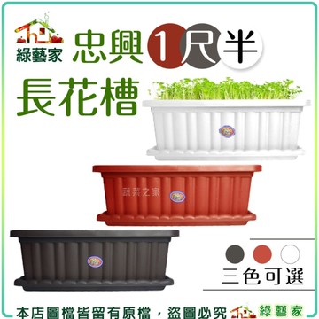 【綠藝家】忠興1尺半長花槽-磚紅色、棕色、白色