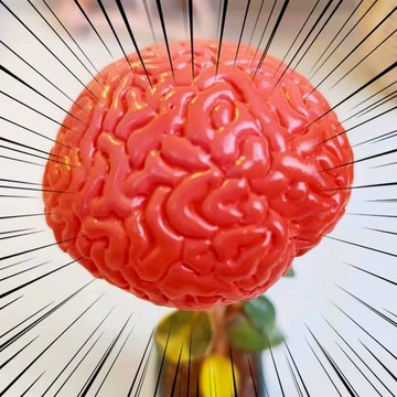 無腦之花趣味禮物