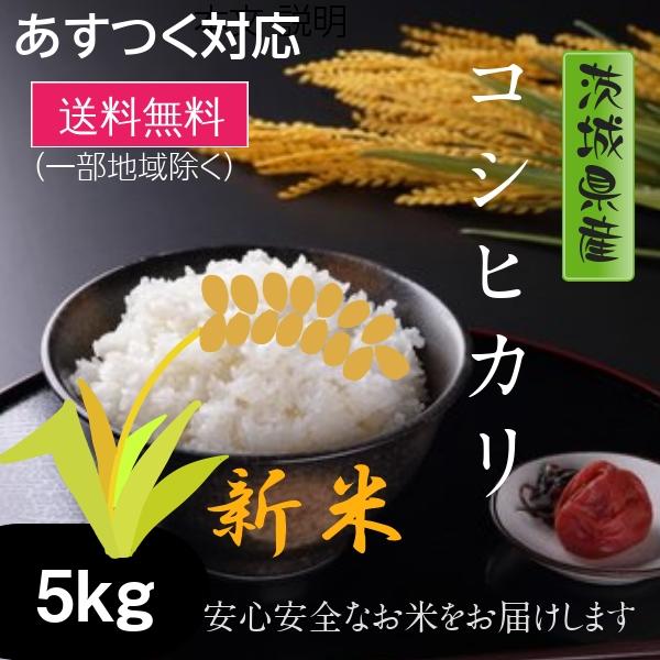 新米 米 お米 5kg コシヒカリ 茨城県 白米 5年産 送料無料 一部地域除く