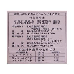 新米 米 10kg 5kg×2 魚沼産コシヒカリ特別栽培米 令和5年産 白米 送料無料（北海道・九州・沖縄除く)離島は発送不可