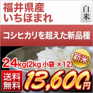 白米 24kg (2kg×12袋) 新米 令和5年(2023年)産 福井県産 いちほまれ 特A評価獲得米 お