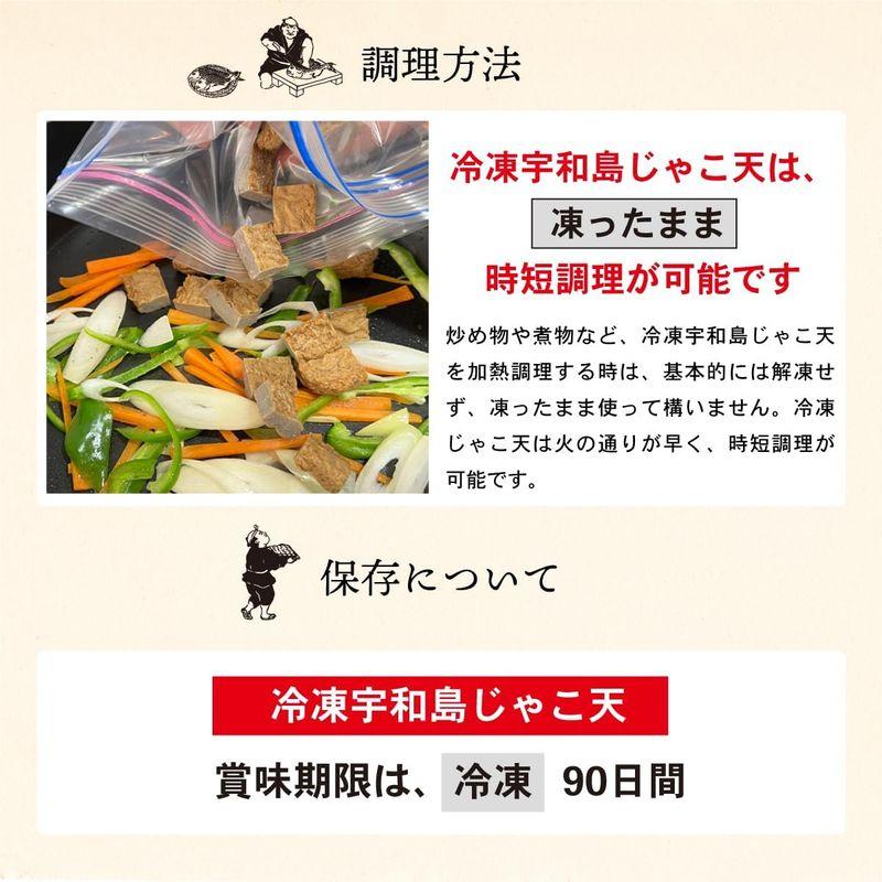 「冷凍」宇和島じゃこ天5枚入り 安岡蒲鉾 じゃこてん 愛媛 お土産 練り物 かまぼこ お歳暮 (20個)