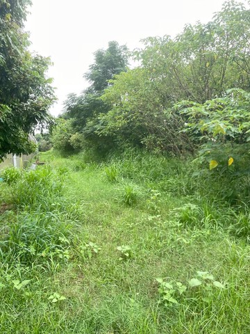 專-歸仁近高發三路1.1分美農地(誠可談價)｜台南市歸仁區崙頂段