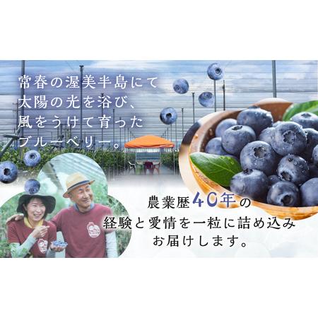 ふるさと納税 完熟　ブルーベリー　1kg　2回定期便 愛知県田原市