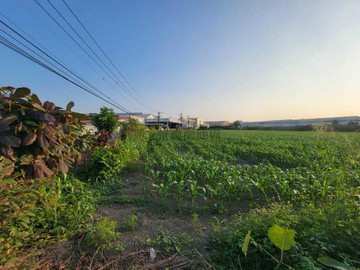 燕巢近國道地形方正休閒都內增值農地02907｜高雄市燕巢區瓊西段