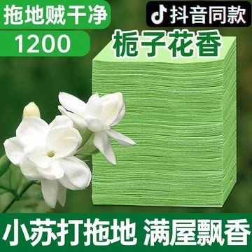 🚚臺灣出貨⚡地板清潔片 拖地清潔片 地板清潔劑 清潔片 水溶式清潔劑 地板清潔打蠟 拖地神器 地板清潔 地板打蠟