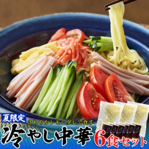 天然生活 SM00011002 夏季限定出荷!!さわやかレモンダレで食す 冷やし中華6食