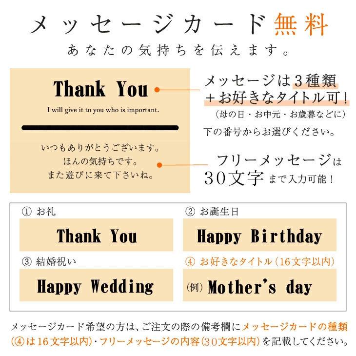 ふじ馬刺し 馬肉 詰め合わせ セット 熊本 上赤身200g ユッケ50g 取り寄せ 冷凍 食品 ギフト 高級 人気 おすすめ 通販 送料無料 お歳暮2023