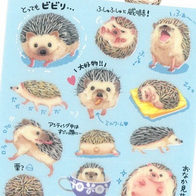 22セール ハリネズミ イラスト ステッカー シール 小動物用品