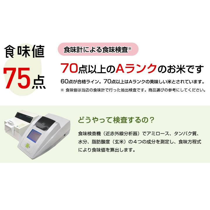 新米　令和5年産　米 お米 20kg 送料無料 上場コシヒカリ 佐賀県産　令和5年度 5kg×4袋 こしひかり