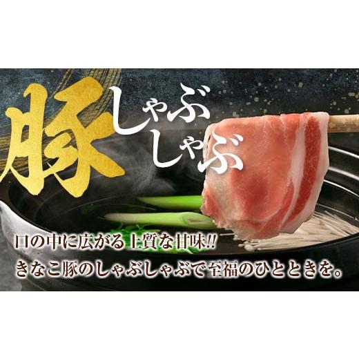 ふるさと納税 宮崎県 日南市 ≪きなこ豚≫ローススライス(しゃぶしゃぶ用)計960g　肉　豚　豚肉　国産　宮崎県産 BB121-23