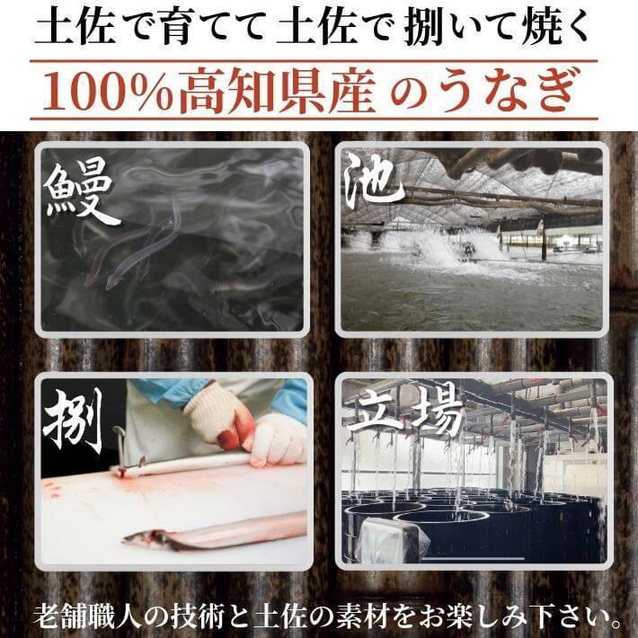 高知県産 うなぎ 蒲焼き 国産 3尾 完全無投薬 仁淀川 誕生日 ギフト 贈答