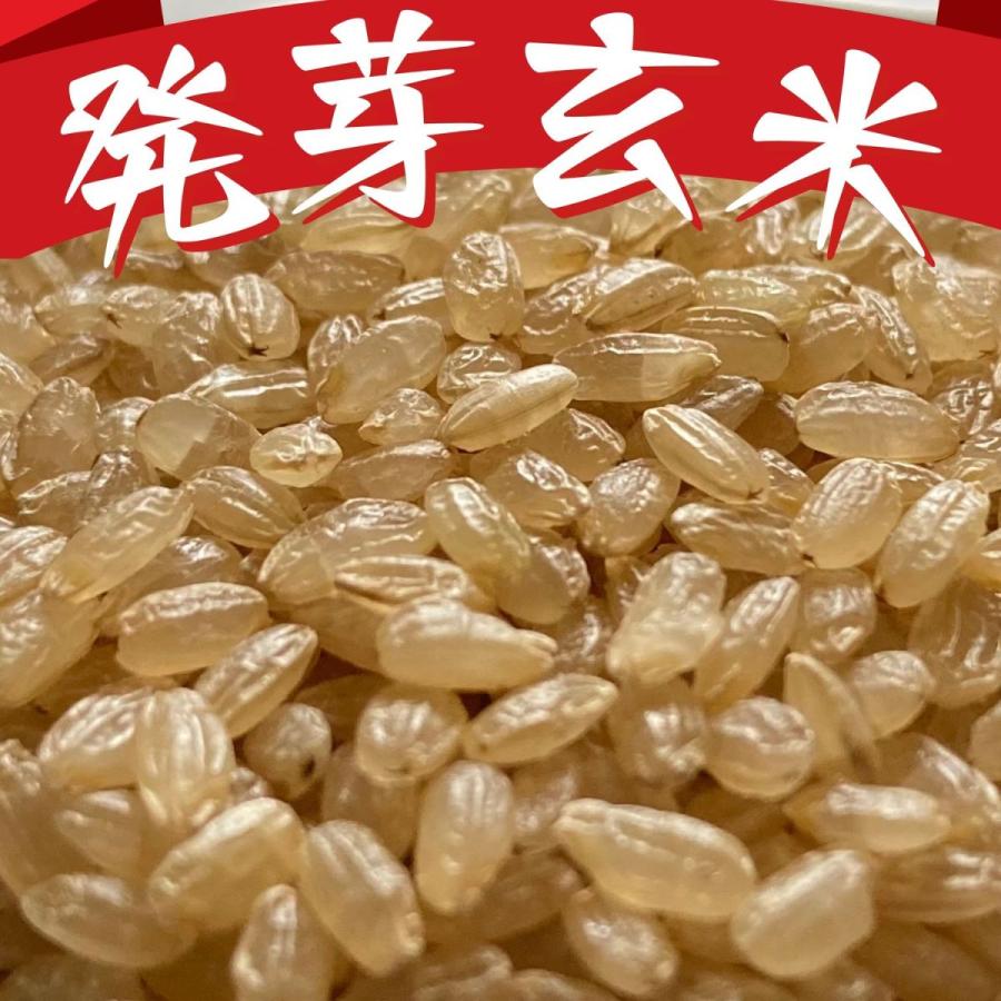 国内産雑穀お試しセット(発芽玄米、胚芽押麦、もち麦) 各100g