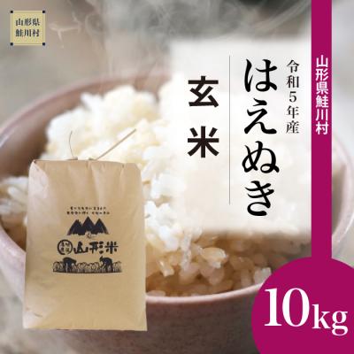 ふるさと納税 鮭川村 令和5年産 鮭川村 はえぬき  10kg (10kg×1袋)