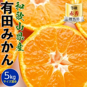 甘い完熟 有田みかん 5kg 贈答用贈答用・甘い小玉も混合有田ミカン 冬ギフト