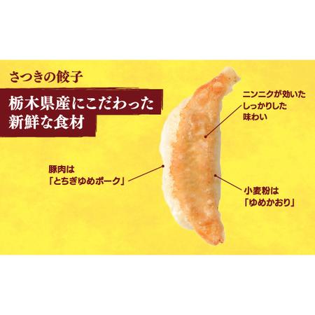 ふるさと納税 　餃子24個入り×2箱 栃木県宇都宮市