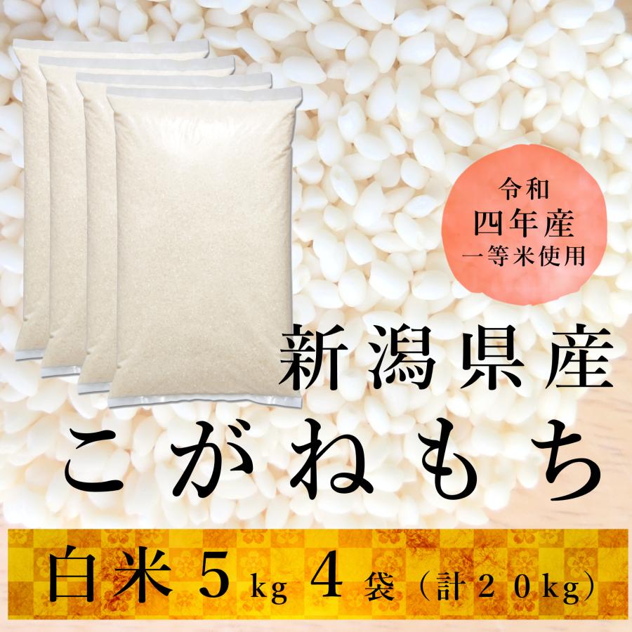 もち米 20kg こがねもち 新潟産 令和５年産 送料無料※地域別