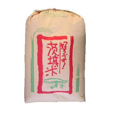 コシヒカリ 新米 玄米30kg コシヒカリ 2等 茨城県産  令和5年産  