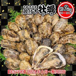 ふるさと納税 牡蠣 国産 牡蠣 殻付き 牡蠣 約2kg 牡蠣 加熱用 牡蠣 新鮮 牡蠣 産地直送 牡蠣 香川 牡蠣 さぬき市 牡蠣 加熱専用 牡蠣 香川県さぬき市