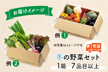 農家直送 冬野菜セット 1箱 7品目以上 《元気に育った新鮮野菜！》／ 季節 冬 野菜 ボックス BOX セット セレクト 農家 おまかせ 多品目 旬 詰め合わせ ※2023年12月上旬以降発送