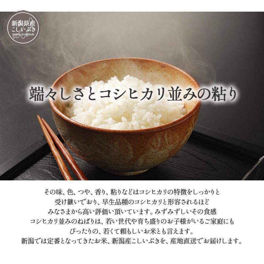 お米 20kg 白米 送料無料 新米 令和5年産 新潟県産 こしいぶき 産地直送 米 国産 国内産 20キロ ブランド米 ギフト お中元 父の日 母の日 敬老の日