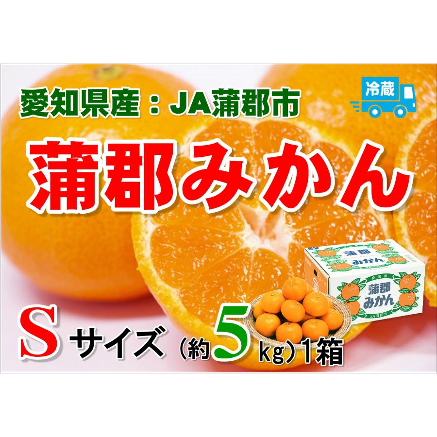 C-3 愛知県産：JA蒲郡市　蒲郡みかん　Sサイズ・約5kg・1箱