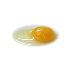 卵 たまご 玉子 （送料無料）美野里たまご加賀の朝日10コ６パック箱入り
