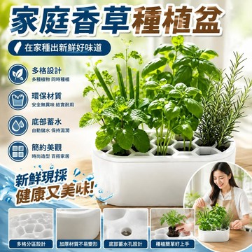 🌈🌈升級蔥花水培套裝免土免技巧快速收割陽臺窗臺家庭種植盒水培蔬菜