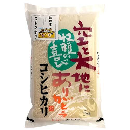 信州産 こしひかり 5kg 令和4年産 《受注精米》 米 お米 コメ 精米