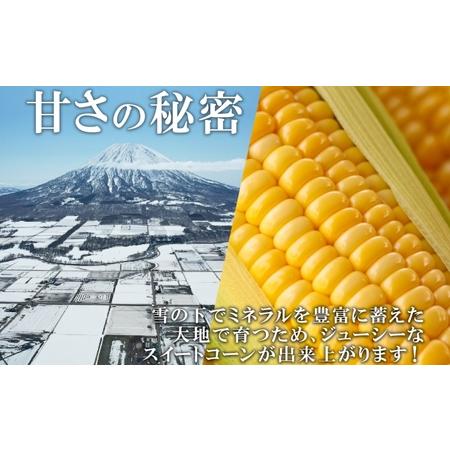 ふるさと納税 北海道産 朝もぎ イエロー とうもろこし 味来 みらい 2Lサイズ 13本 約5kg 大きめ 夏野菜 とうきび 新鮮 野菜 トウモロコシ ギフ.. 北海道倶知安町