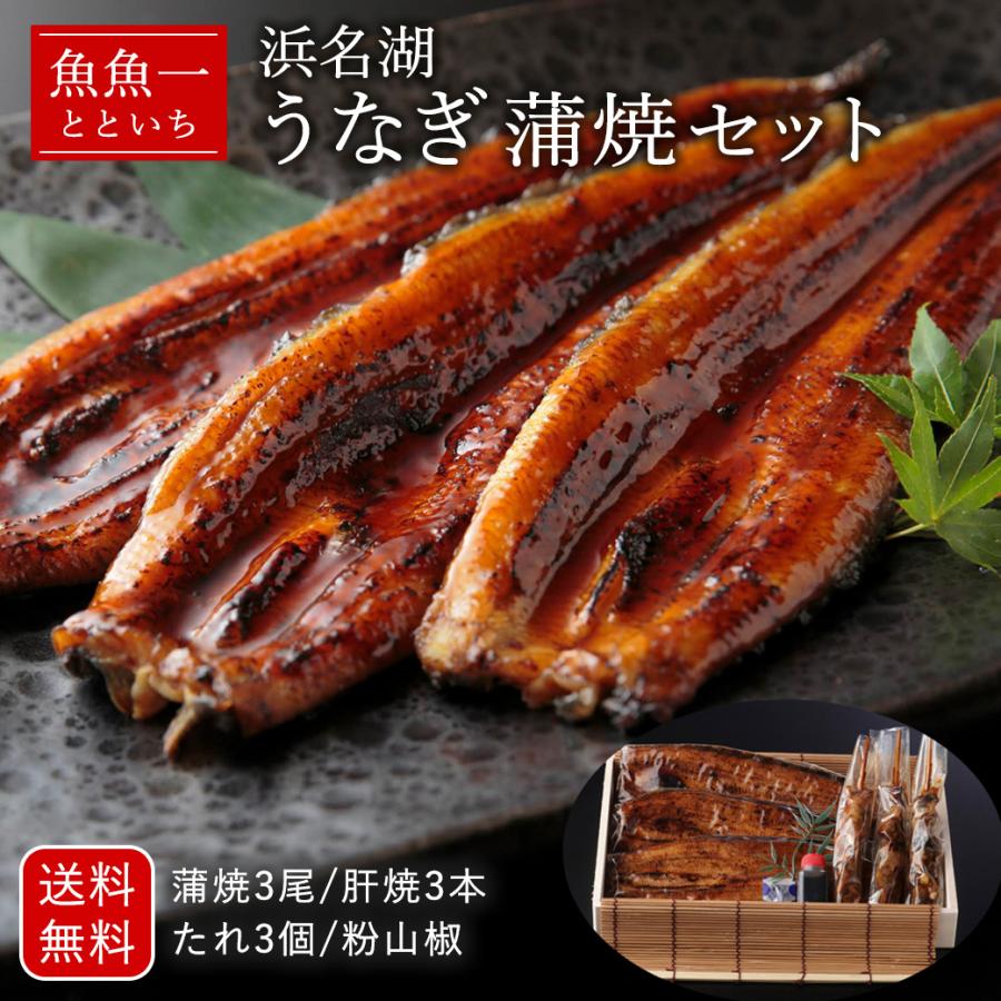 魚魚一 浜名湖産 うなぎ 蒲焼セット とといち  丑の日 土用の丑 贈り物 グルメ 送料無料 60代 70代   2023 プレゼント お歳暮 ギフト