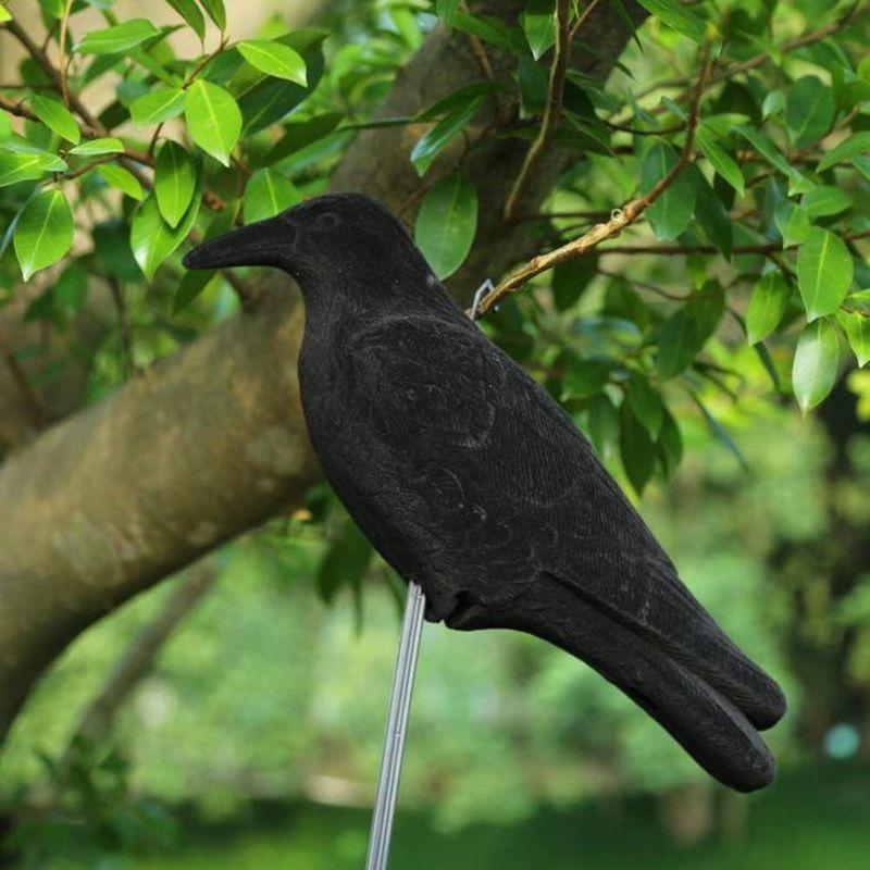 カラスよけ カラス専用退治器 防鳥防獣対策