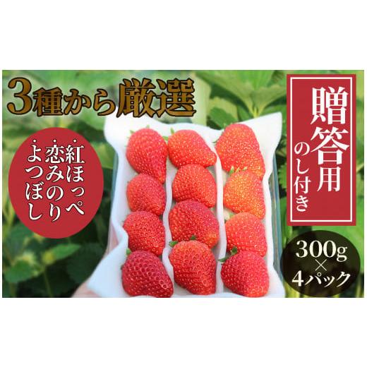 ふるさと納税 静岡県 南伊豆町 完熟いちご（3品種から厳選）300g×４パック（DXパック）（第32回静岡県いちご果実品評会入賞）