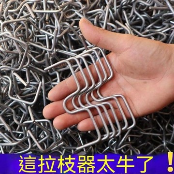 【可打統編】100個m型別枝器 果樹壓枝神器 背上枝側枝拉枝定型器 園林花卉拉枝神器 DHFG