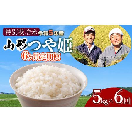 ふるさと納税 令和5年産 新米 特別栽培米 山形つや姫 定期便 5kg×6ヶ月 鶴岡ファーマーズ 山形県鶴岡市