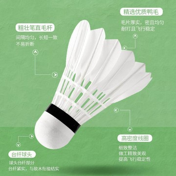 【桃園出貨】羽毛球筒裝羽毛球3只6只12裝軟泡沫頭娛樂訓練網銷熱款批發羽球