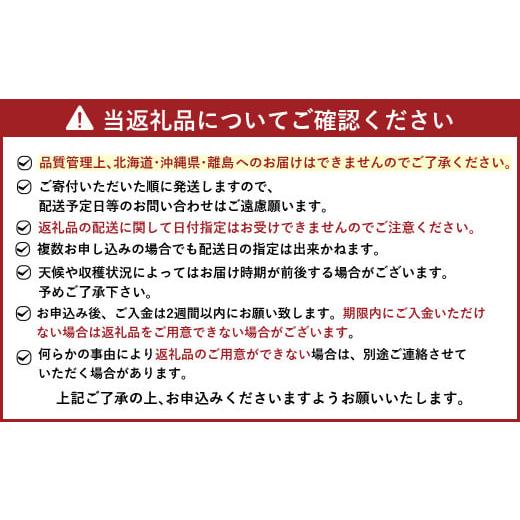 ふるさと納税 福岡県 太宰府市 あまおう 贅沢セット いちご イチゴ フルーツ 果物