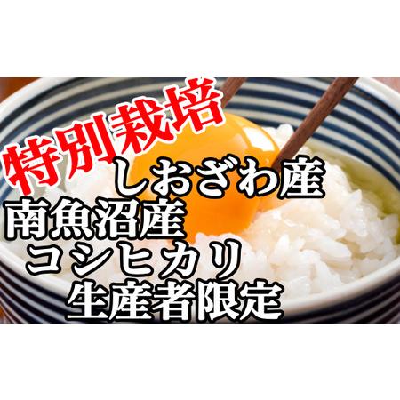 ふるさと納税 特別栽培 生産者限定 南魚沼しおざわ産コシヒカリ 新潟県南魚沼市