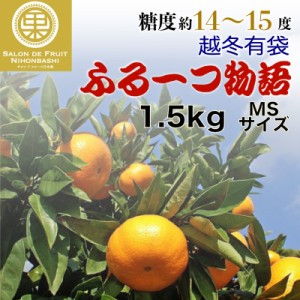 [予約 1月4日-1月31日の納品]   フルーツ物語 超冬有袋みかん 約1.5kg MSサイズ 香川県産 専用箱 袋がけみかん ギフト 完熟 みかん ふる