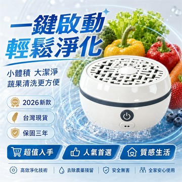 【限時免運🆓】料理清洗機 水果清洗機 蔬菜清洗機 肉類清洗機 餐前清洗機 食材淨化機 家用清洗機 洗菜器 廚房清洗機