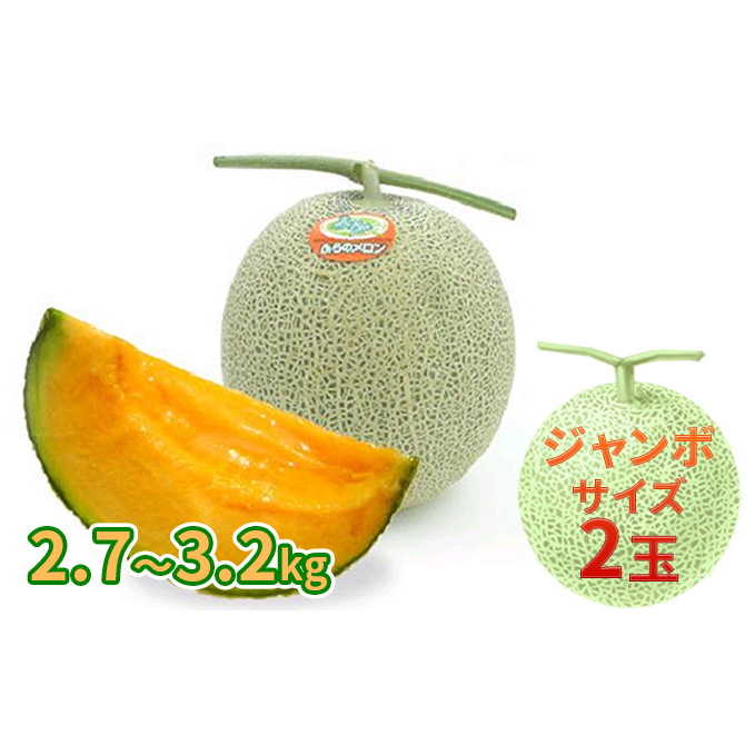 ふらの 赤肉メロン 厳選 秀品 ジャンボサイズ 2.7kg～3.2kg 2玉 セット ファーム富良野 メロン めろん 富良野メロン 果物 くだもの フルーツ 富良野 デザート 北海道