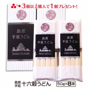 ＼1000円ぽっきり／ 島原手延べ十六穀うどん（4束×2） メール便 送料無料