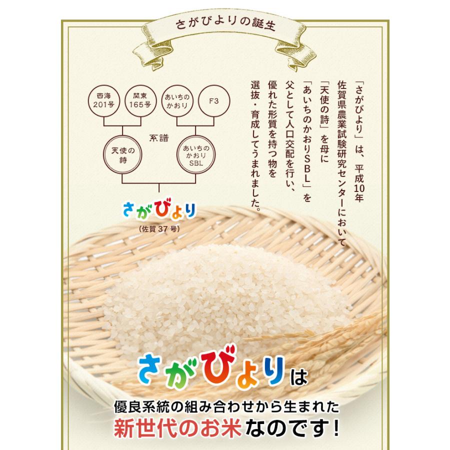 新米　5年産　佐賀県 さがびより 精米27kg(玄米30kg分) お米 米 佐賀県産　(米 30kg)(お米 30kg)(米30kg)