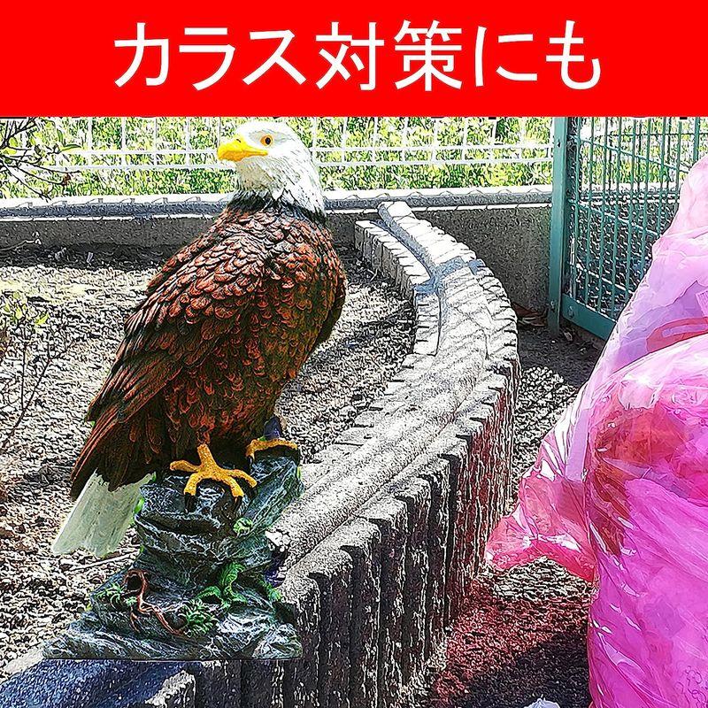 akindou 害鳥対策 30cm級 鷹 ホーク 置物 スズメ カラス ムクドリ ハト コウモリ の被害激減 デコイ 樹脂製で耐久性